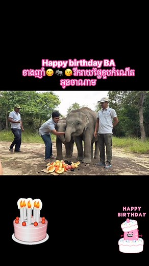 42K views · 2K reactions | រីករាយថ្ងៃខួបកំណើត BA ញ៊ាំ ចាណាម...