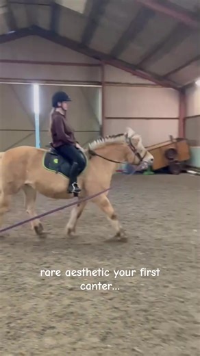 SCREAMING IT WAS SO BAD. poor willow honestly she puts up with so much. also it’s been over a year since i saw her i miss her pls.horsie creds @ella 🎀 #canter #firstcanter #rareaesthetic #horse #fjord