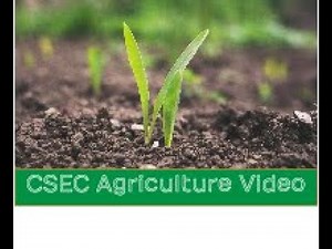 WHAT IS AGRICULTURE AND WHY IS IT IMPORTANT