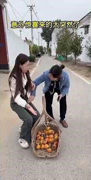 # double 11's unexpected surprise came too suddenly# Funny Swallow