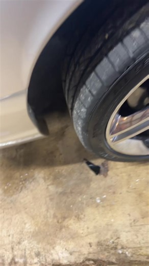 Showcasing a Pristine Crown Vic in Ohio