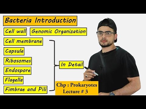 Structures Present in Bacteria And their Functions | Prokaryotes |