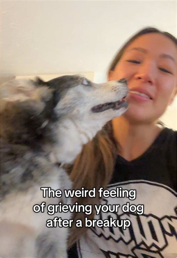 Always my baby #dogloss #restinpeace #grieving #dogmom #rainbowbridge