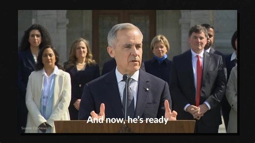 Mark Carney has the experience Canada needs to stand strong against Donald Trump’s tariffs. | Liberal Party of Canada | Parti libéral du Canada