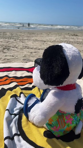 snoopy’s enjoying his last day at the beach! he even found his own pier! #snoopy #weezer