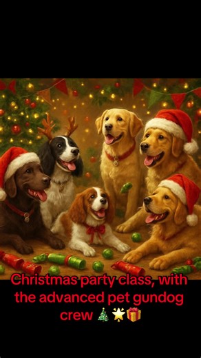 @Startrite Dog Training #petgundogtraining #retriever #spaniel #gundogsoftiktok