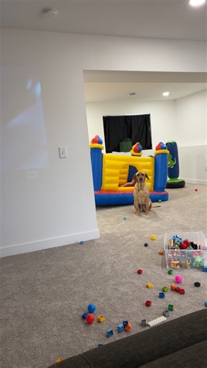 #kids #kidsoftiktok | kid videos