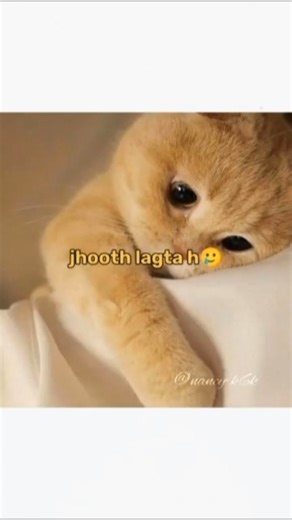 reality of life #comedy #funny #problem #trending #viral #subscribers