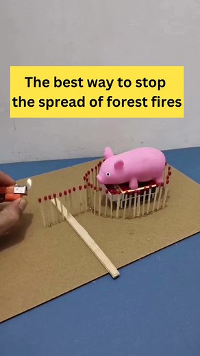 78K views · 98 reactions | The best way to stop the spread of forest fires #bus#diy #craft #Fbreels #petfacts #tips #reels #experiment #unexpected | Matakonnarng | Facebook