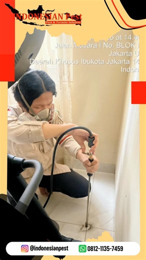 Jasa Anti Rayap & Jasa Pest Control | Indonesian Pest on Instagram: "Jasa Anti Rayap merupakan cara terbaik untuk melindungi rumah, furniture dan properti lainnya dari serangan rayap. Sehingga struktural rumah terjaga dan tidak rusak sehingga membuat kerugian. Yuk basmi rayap dengan jasa anti rayap dari INDONESIAN Pest SOLUSI TERBAIK!! Instagram : indonesianpest Tiktok : indonesianpest Youtube : indonesian pest Hubungi kami segera: 0812-1135-7459 INDONESIAN PEST? PEST CONTROLNYA INDONESIA!🍃 ⚠️L