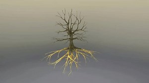 English oak tree anatomy 3D
