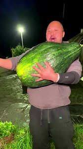 82K views · 2.6K reactions | Amazing style cooking with nature life | Satia Cooking Tv | Facebook