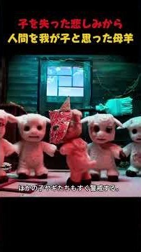 子を失った悲しみから人間を我が子と思った母羊#アニメ#アニメーション
