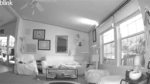 Blink camera spots a phantom entity in the witching hour
