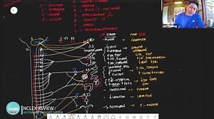4.5K views · 70 reactions | IPASS ONLINE NCLEX REVIEW | Today,...