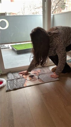 Muddy Mat is truly a game changer #shorts