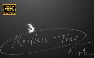 【4K私藏】鱼丁糸《Rootless Tree》MV