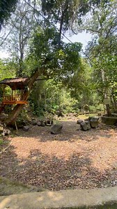 249K views · 3.3K reactions | Kondisi terkini wisata alam bunut ngengkang, desa buwun sejati, narmada - lombok barat. | Lombok Traveler | Facebook