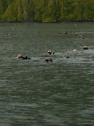 Beatrice Bouchard on Reels