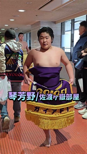 化粧回しを持ち上げて通っていく新弟子達❗【大相撲 3月春場所 2026年 】 Sumo