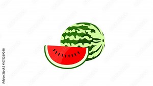 Watermelon and slice watermelon, graphic animation. Alpha channel. Colored. Transparent background motion design. 4K resolution