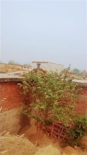 🤣😂🤪😜😝👀sikho app download kre