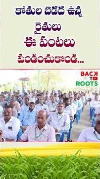 కోతుల బెడద ఉన్న రైతులు ఈ పంటలు పండించుకొండి | Back To Roots