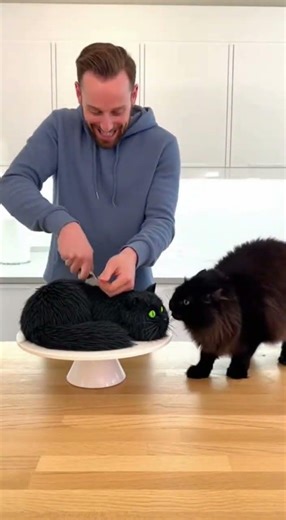 Black Angora Cat’s Reaction Is Pure Magic! 🖤🐱✨ #BlackAngoraCat #Shorts #Viral