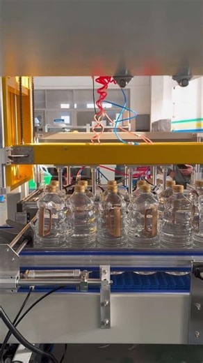 Pick and place Case packer for PET bottle and glass bottle #packagingmachine #Casepacker#manufacture