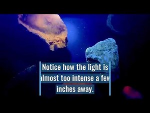 Comparing UV Lights for Rock, Fossil, and Crystal Collecting