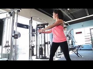 Life Fitness G7 ab twist workout