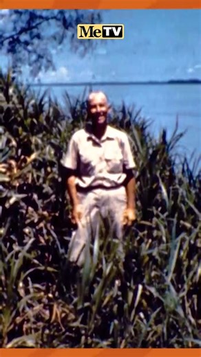 24K reactions · 782 comments | It's the news you've been asking for ... classic episodes of Mutual of Omaha’s Wild Kingdom are back on TV! Catch the amazing adventures from one of the most loved and respected wildlife programs in television history every Sunday morning on MeTV. Click to learn more about how to watch or check your local listings for showtimes: https://wildkingdom.co/45PCmiu | Mutual of Omaha's Wild Kingdom | Facebook