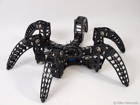 MXPhoenix hexapod robot terrain test