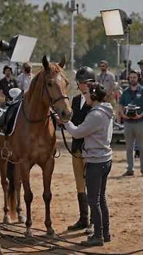 Real vs Movie Horses – What Films Get Right and Wrong