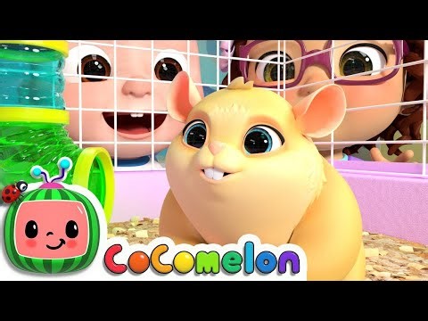 Class Pet Song | CoComelon Nursery Rhymes & Kids Songs