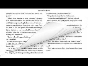 A Wrinkle in Time Chapter 7 The Man with Red Eyes
