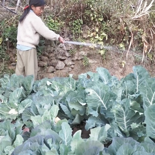 8.5K views · 88 reactions | Daily cooking technology of delicious food. | Cooking Wow | Facebook