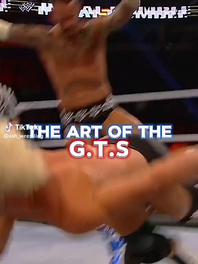 CMPunk GTS Finisher Highlights in Wrestling