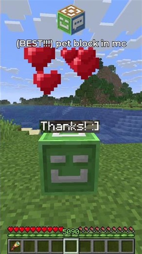 cute block pet in minecraft :]