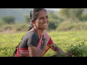 Agroecology and Farmer Field Schools – a solution for Zero Hunger and Ecosystems Restoration