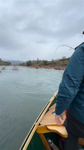 Are you ready to experience the legendary steelhead of the North Umpqua? Now booking winter steelhead January-April. #oregonsboat #AdventureElevated #oregonfishing #steelhead | North Umpqua Outfitters