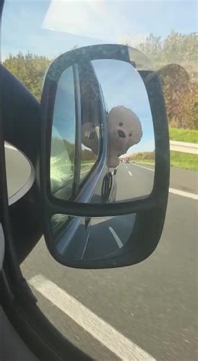 Umzug #fyyyyyyyyyyyyyyyy