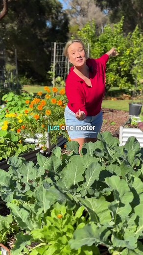 In My Patch gardening on TikTok