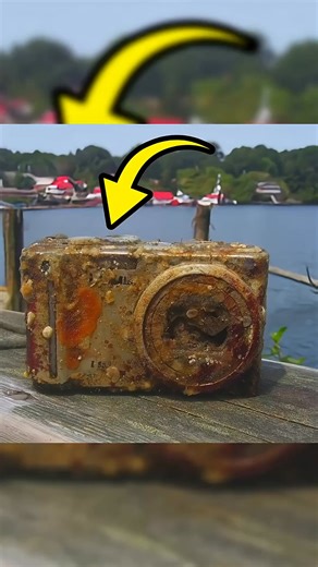 134K views · 4K reactions | Divers Found Old Camera #story #diverstory #foundcamera #lostmemories #underwatermystery #truefinds | Story Hub Shorts | Facebook