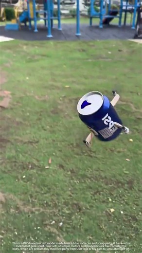 Homemade aircraft model