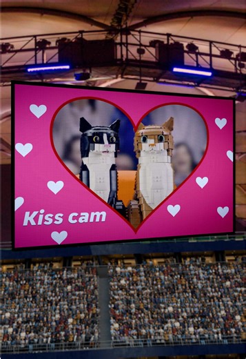 LEGO Cats in Stunning 4K Quality