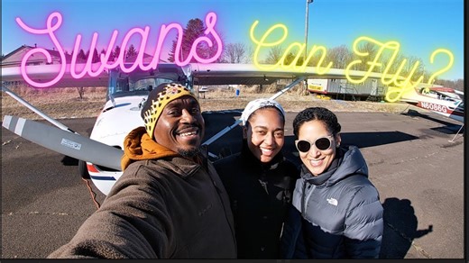 Private Pilot Flight - Swans can fly?