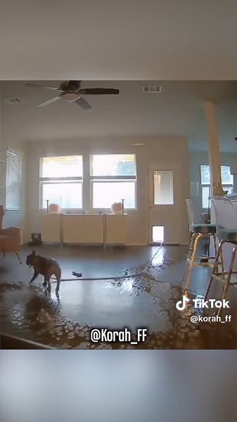 Servicio de limpieza eficaz y económico #korah #korah_ff #doblajekorah #doblaje