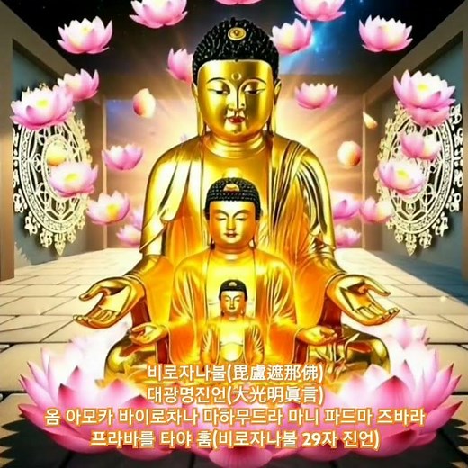 비로자나불(毘盧遮那佛)대광명진언(大光明眞言)옴 아모카 바이로차나 마하무드라 마니 파드마 즈바라 프라바를 타야 훔(비로자나불 29자 진언)