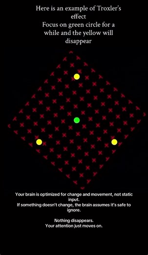 Understanding the Troxler Effect in Visual Perception